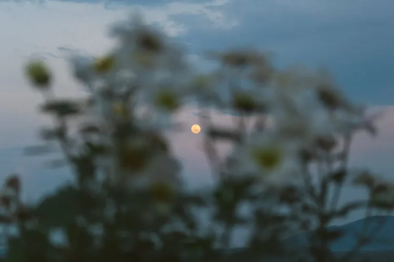 Flower Moon Meaning and Date