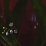 Lily of the Valley Meaning and Symbolism